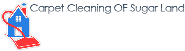 Carpet Cleaning Logo