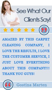 Customer Testimonials